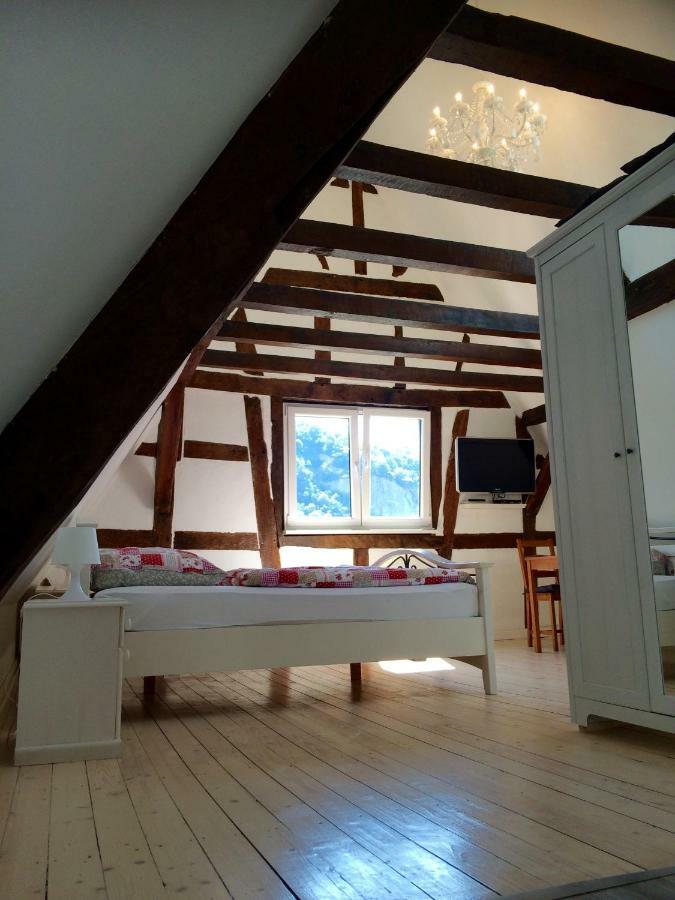 Haus Am Ufer Mit Rheinpanoramablick Apartment Koblenz  Luaran gambar